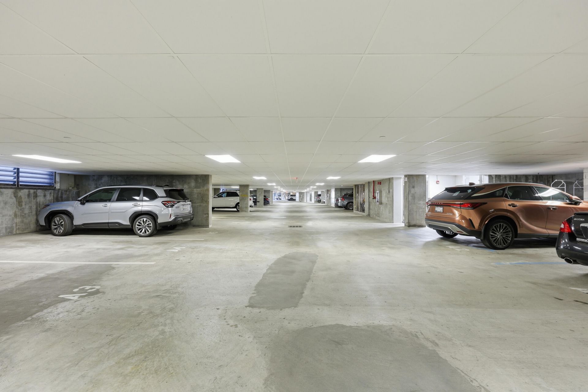 361 Cooper River Drive Photo 49