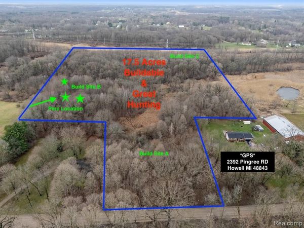 VL Pingree Road, Marion Twp, MI 48843