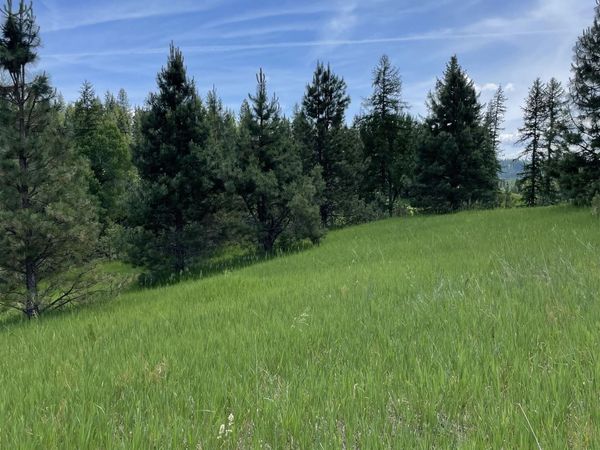 4435 Whittier (Lot 3) Rd, Clayton, WA 99110