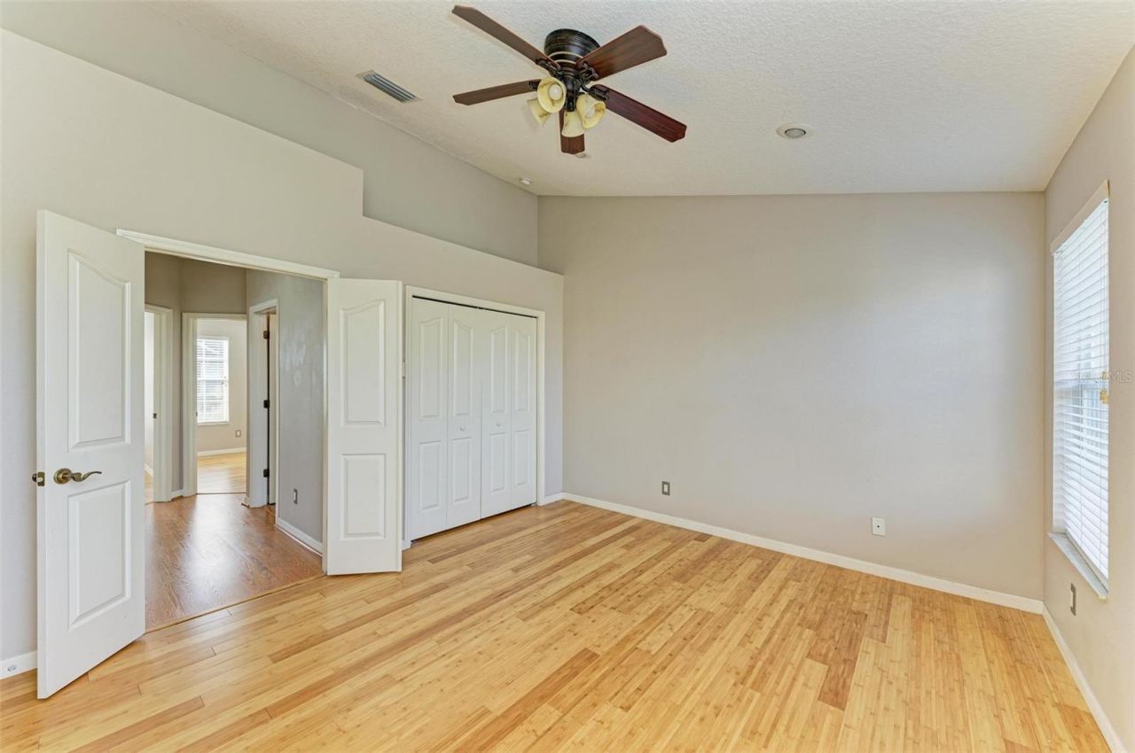 3047 Pointeview Drive, Tampa, FL 33611 Photo