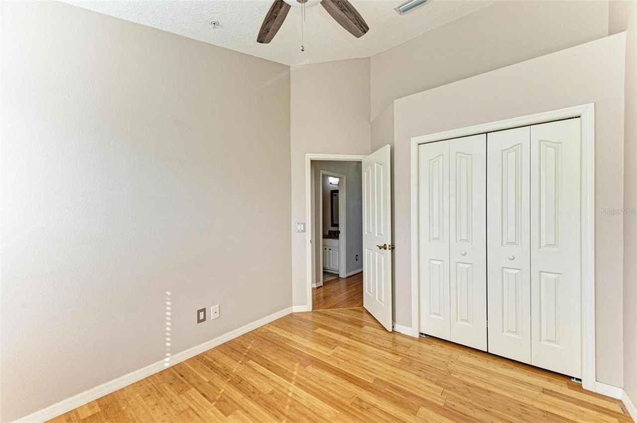 3047 Pointeview Drive, Tampa, FL 33611 Photo