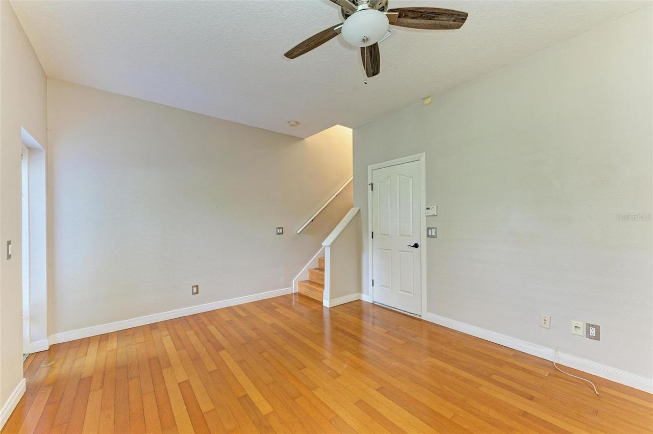 3047 Pointeview Drive, Tampa, FL 33611 Photo
