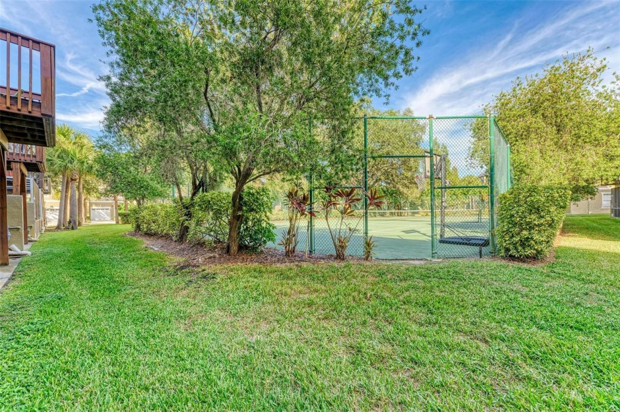 3047 Pointeview Drive, Tampa, FL 33611 Photo
