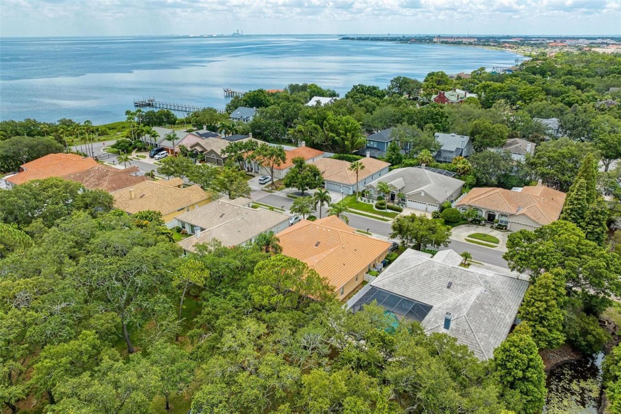 3047 Pointeview Drive, Tampa, FL 33611 Photo