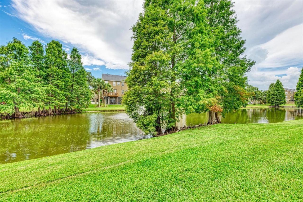 3047 Pointeview Drive, Tampa, FL 33611 Photo