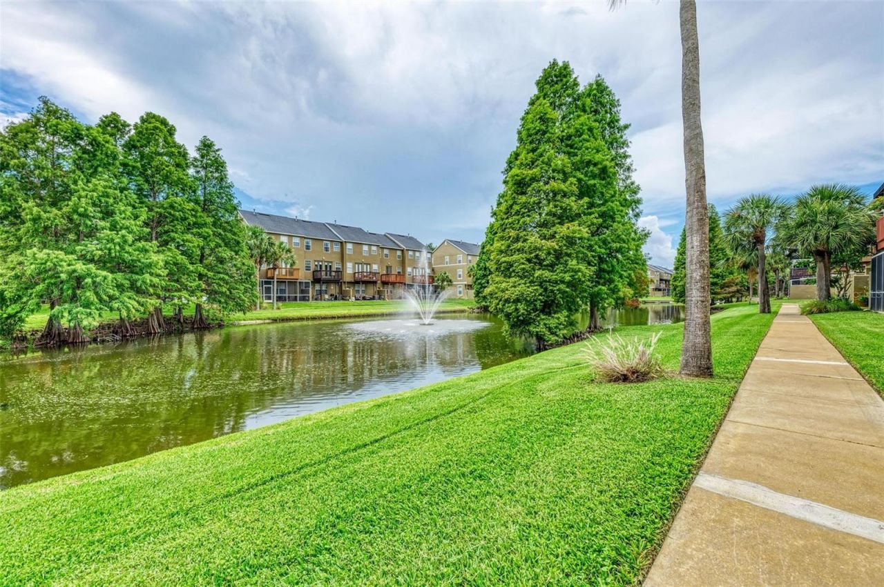 3047 Pointeview Drive, Tampa, FL 33611 Photo