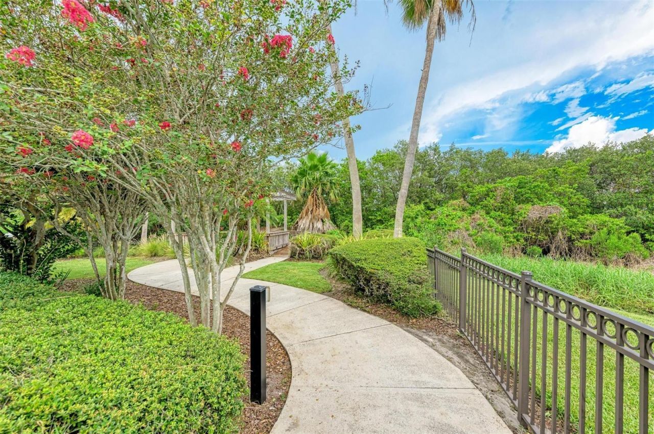3047 Pointeview Drive, Tampa, FL 33611 Photo