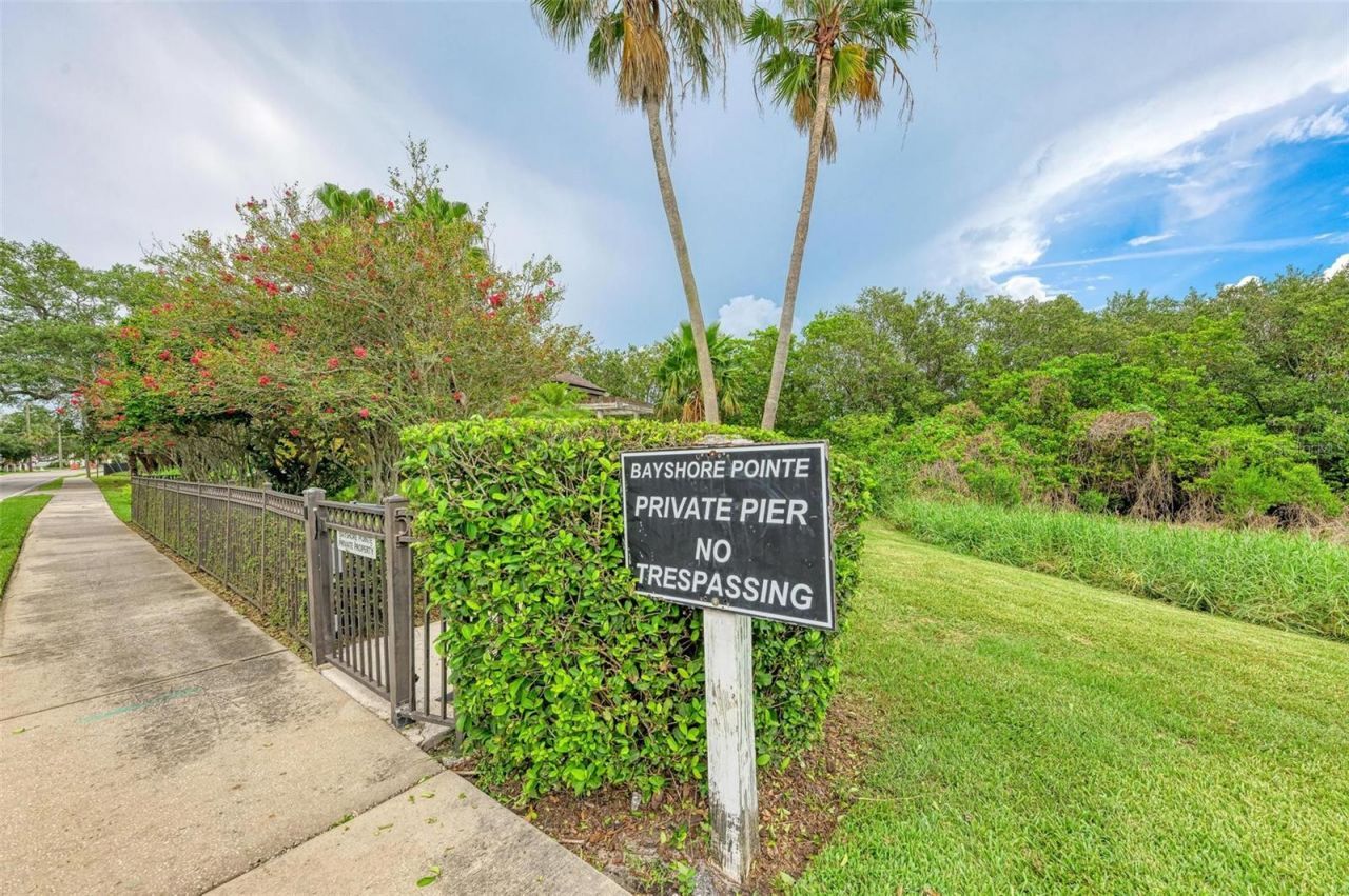 3047 Pointeview Drive, Tampa, FL 33611 Photo