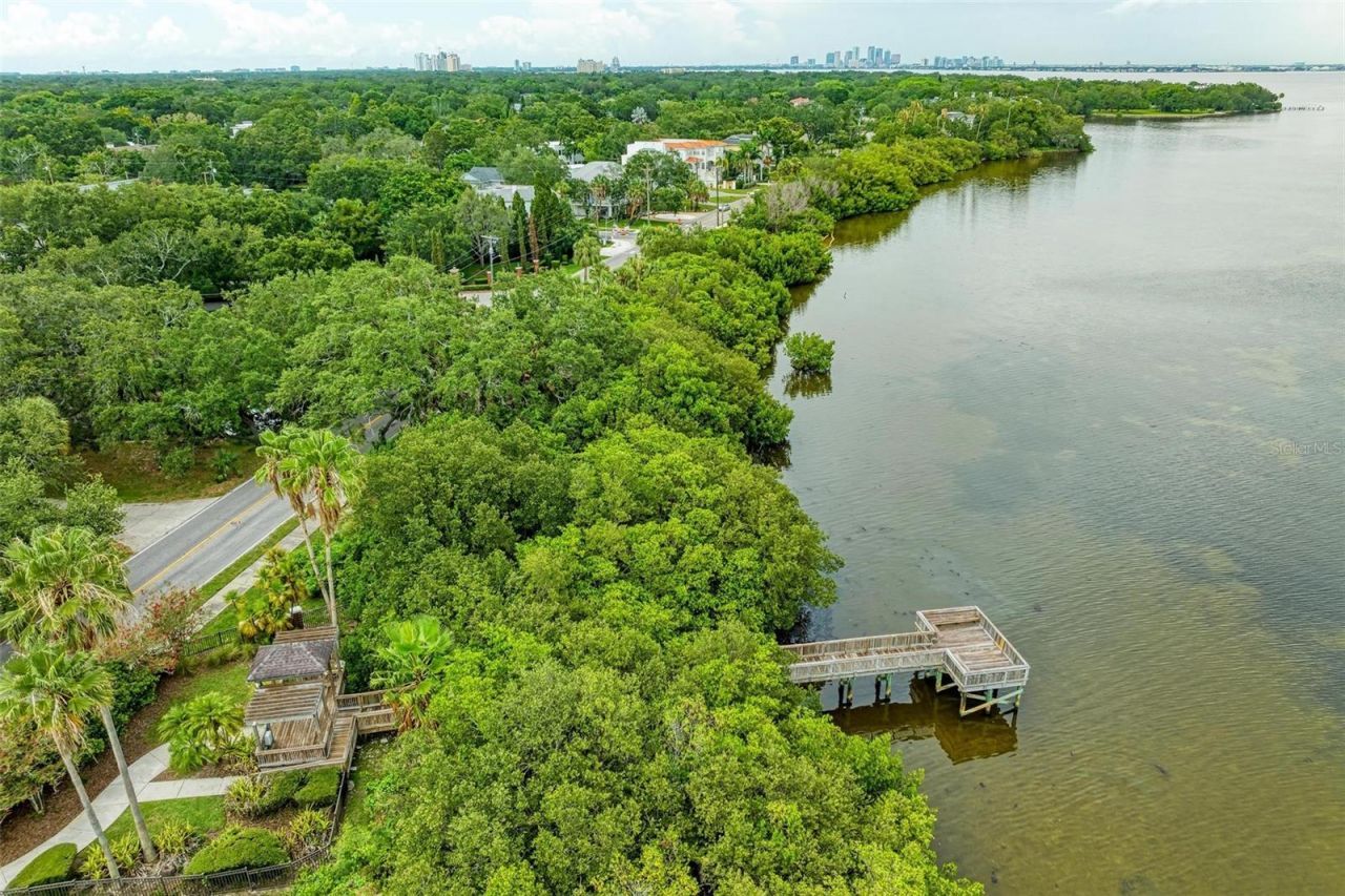 3047 Pointeview Drive, Tampa, FL 33611 Photo