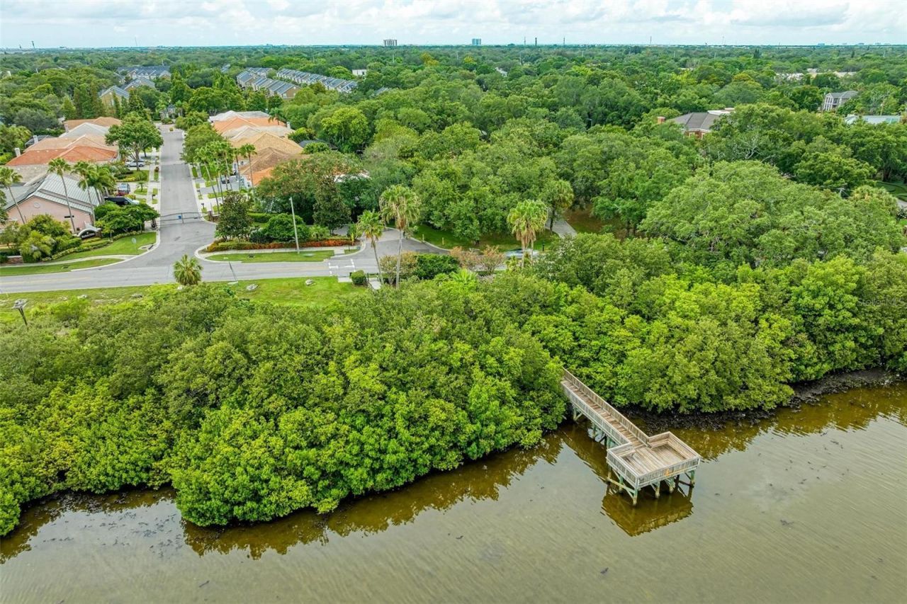3047 Pointeview Drive, Tampa, FL 33611 Photo