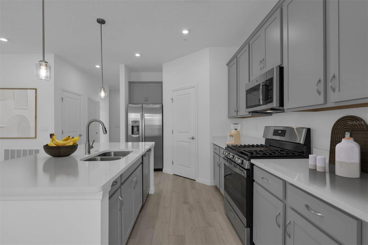 4726 Inner World Lane, Wesley Chapel, FL 33543 Photo
