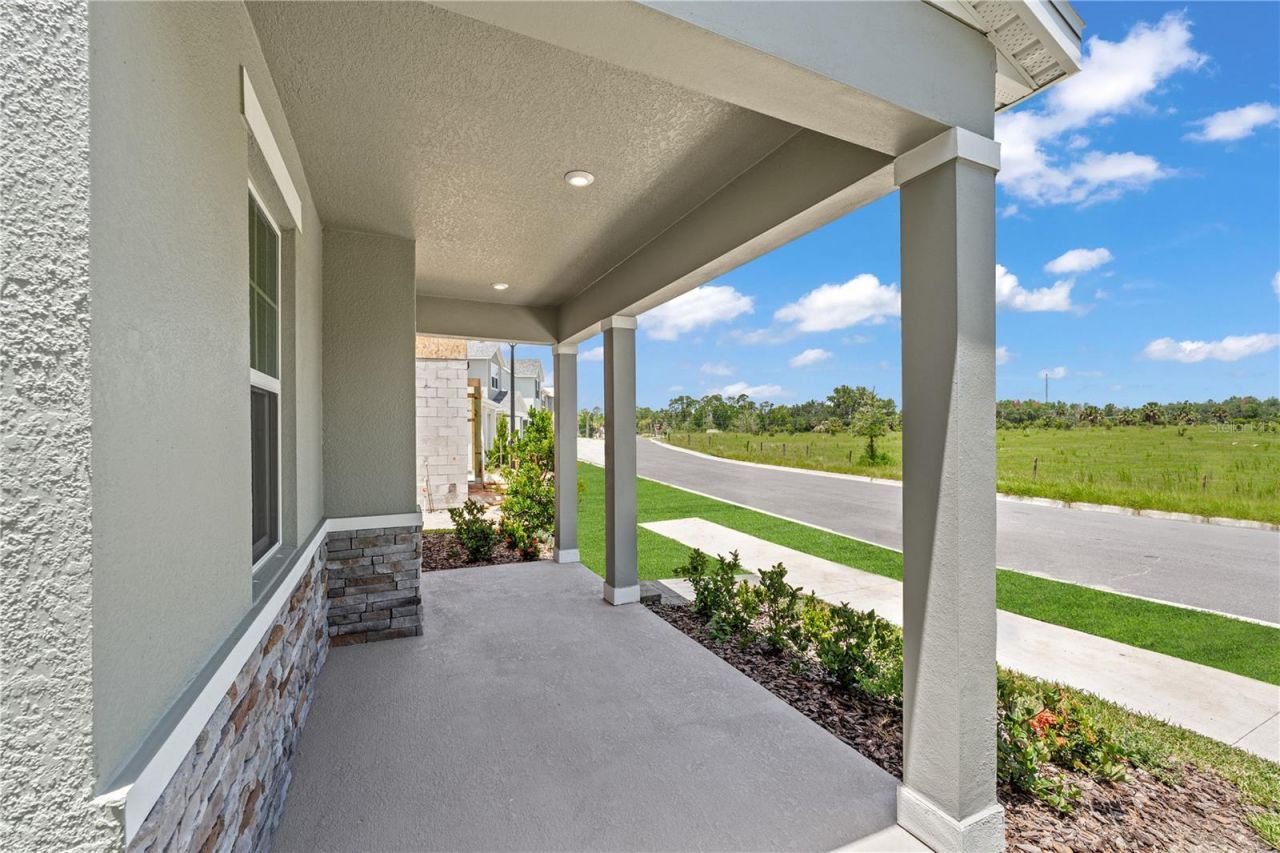4726 Inner World Lane, Wesley Chapel, FL 33543 Photo