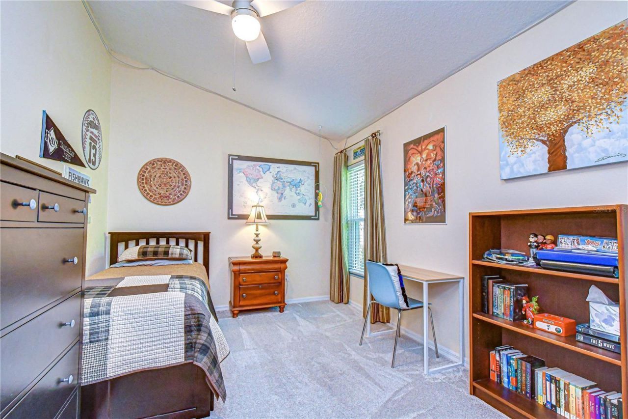 16918 Harrierridge Place, Lithia, FL 33547 Photo