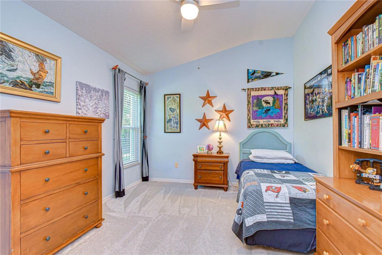 16918 Harrierridge Place, Lithia, FL 33547 Photo