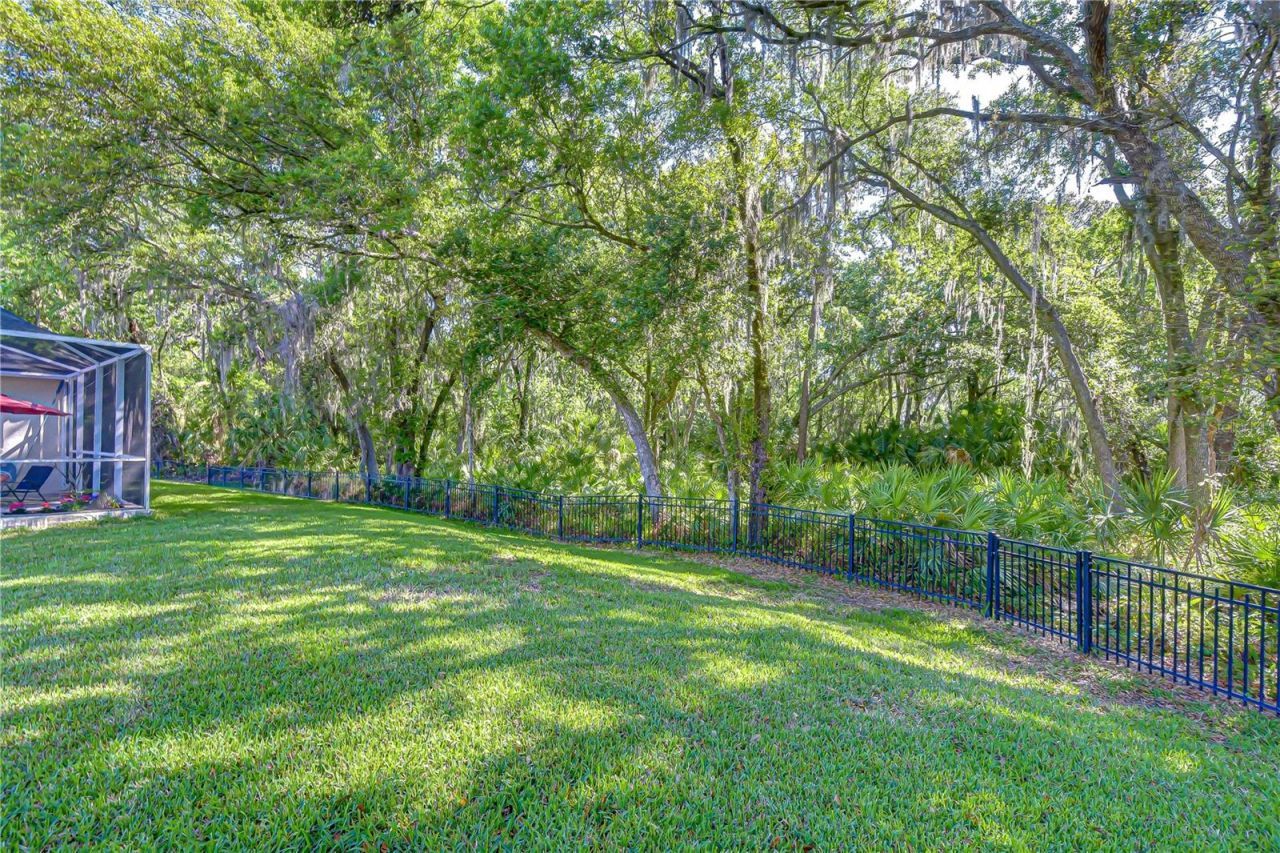 16918 Harrierridge Place, Lithia, FL 33547 Photo