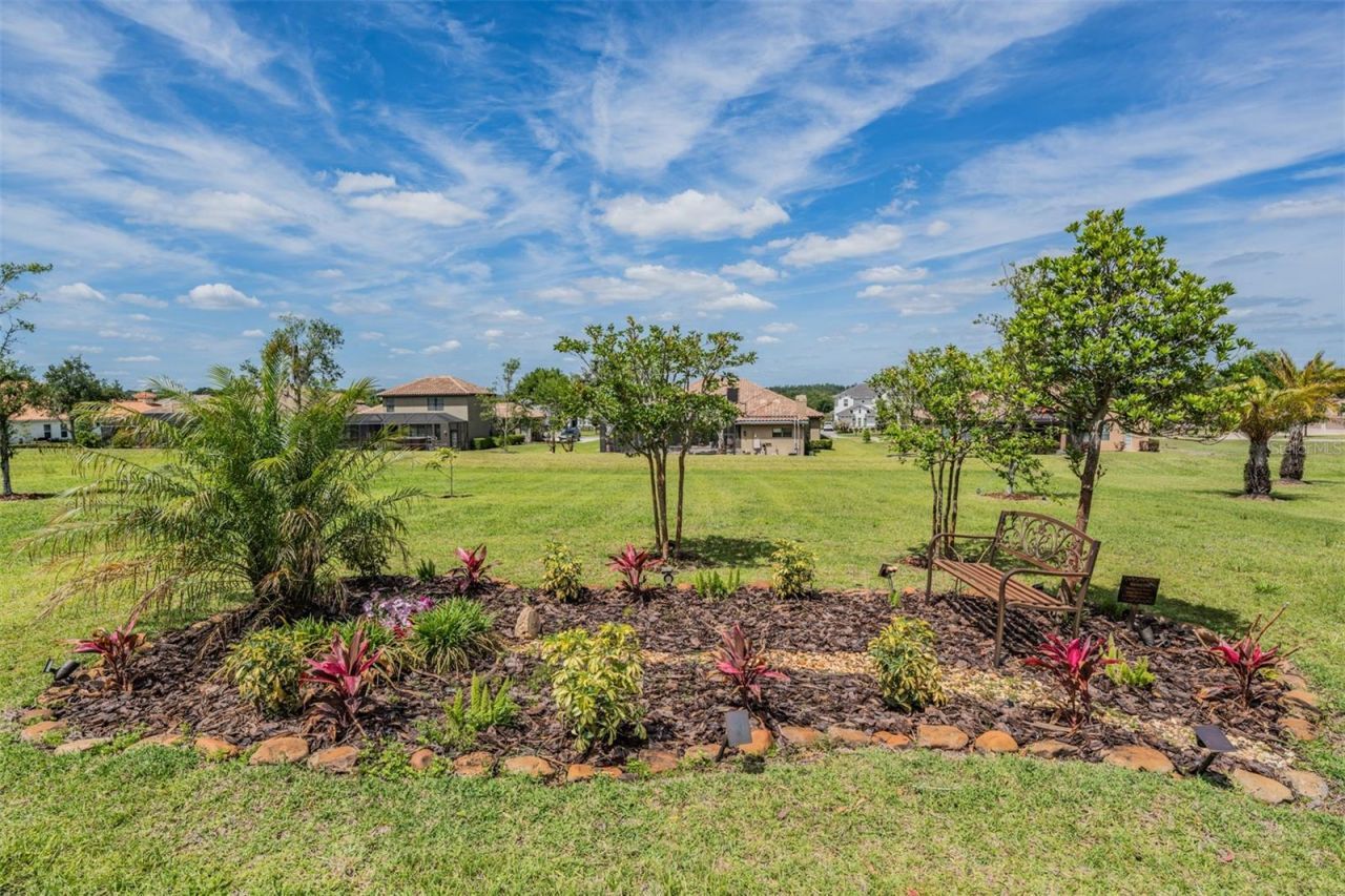 13915 Carryback Drive, Dade City, FL 33525 Photo