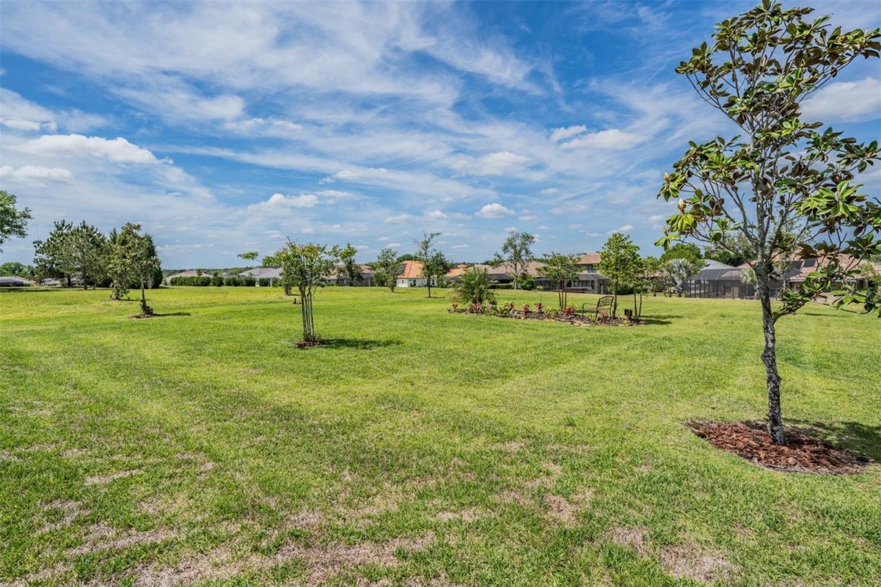 13915 Carryback Drive, Dade City, FL 33525 Photo