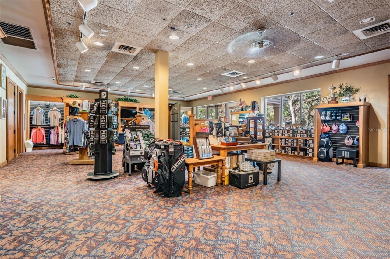 13915 Carryback Drive, Dade City, FL 33525 Photo