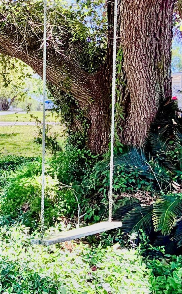 10 N Davis Street, Beverly Hills, FL 34465 Photo