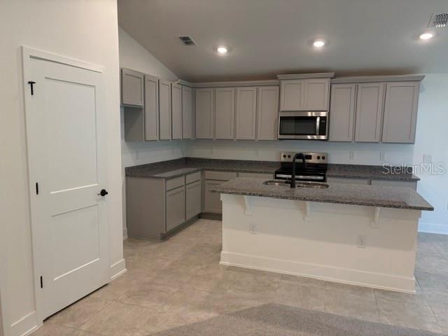 259 Verny Grove Lane, Leesburg, FL 34748 Photo