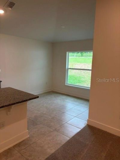 259 Verny Grove Lane, Leesburg, FL 34748 Photo