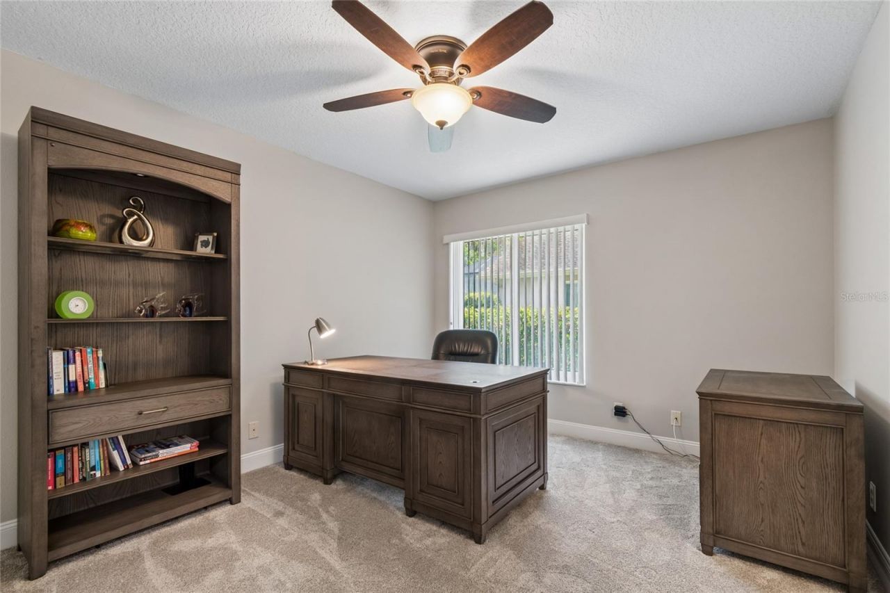 4227 Auston Way, Palm Harbor, FL 34685 Photo