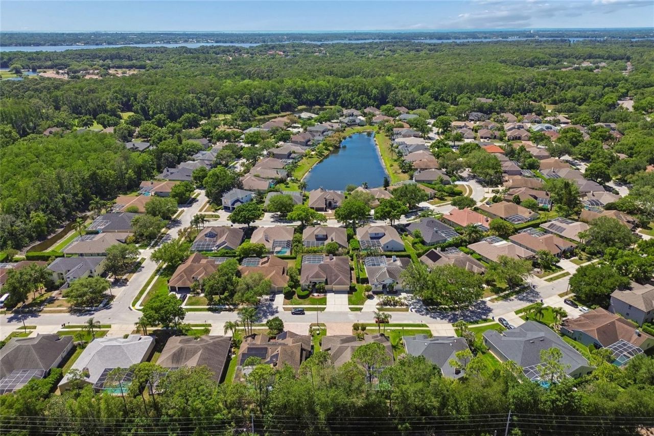 4227 Auston Way, Palm Harbor, FL 34685 Photo