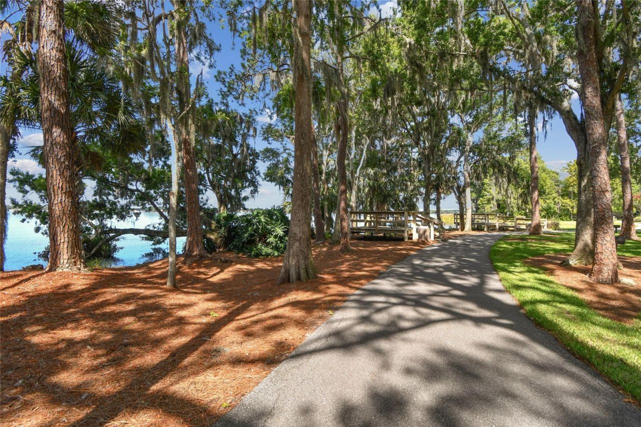 4227 Auston Way, Palm Harbor, FL 34685 Photo