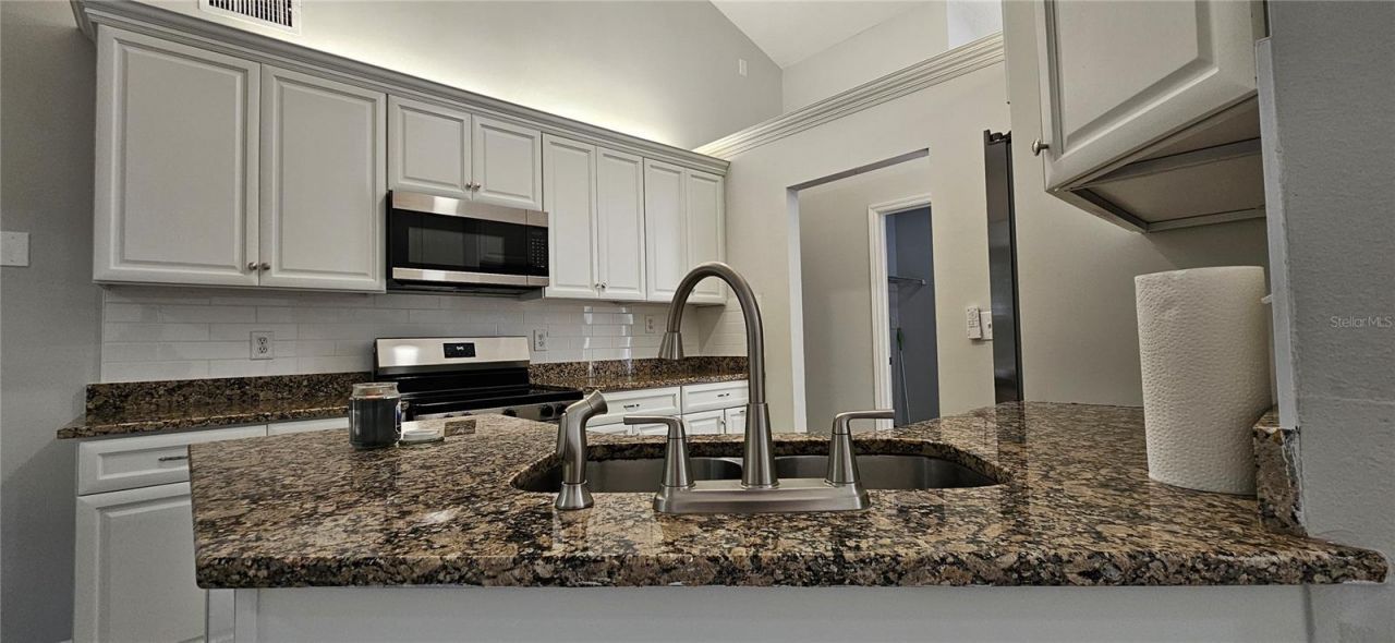 370 S Cobble Court, Mount Dora, FL 32757 Photo