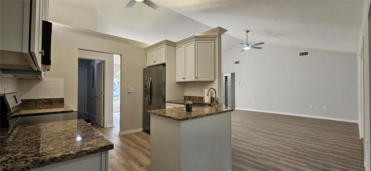 370 S Cobble Court, Mount Dora, FL 32757 Photo