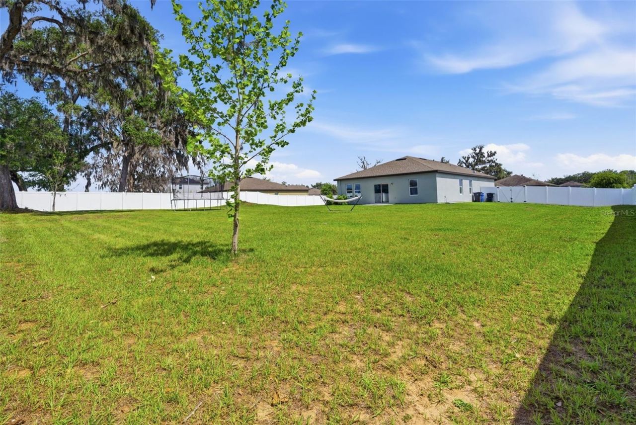 814 Highgate Oaks Place, Seffner, FL 33584 Photo