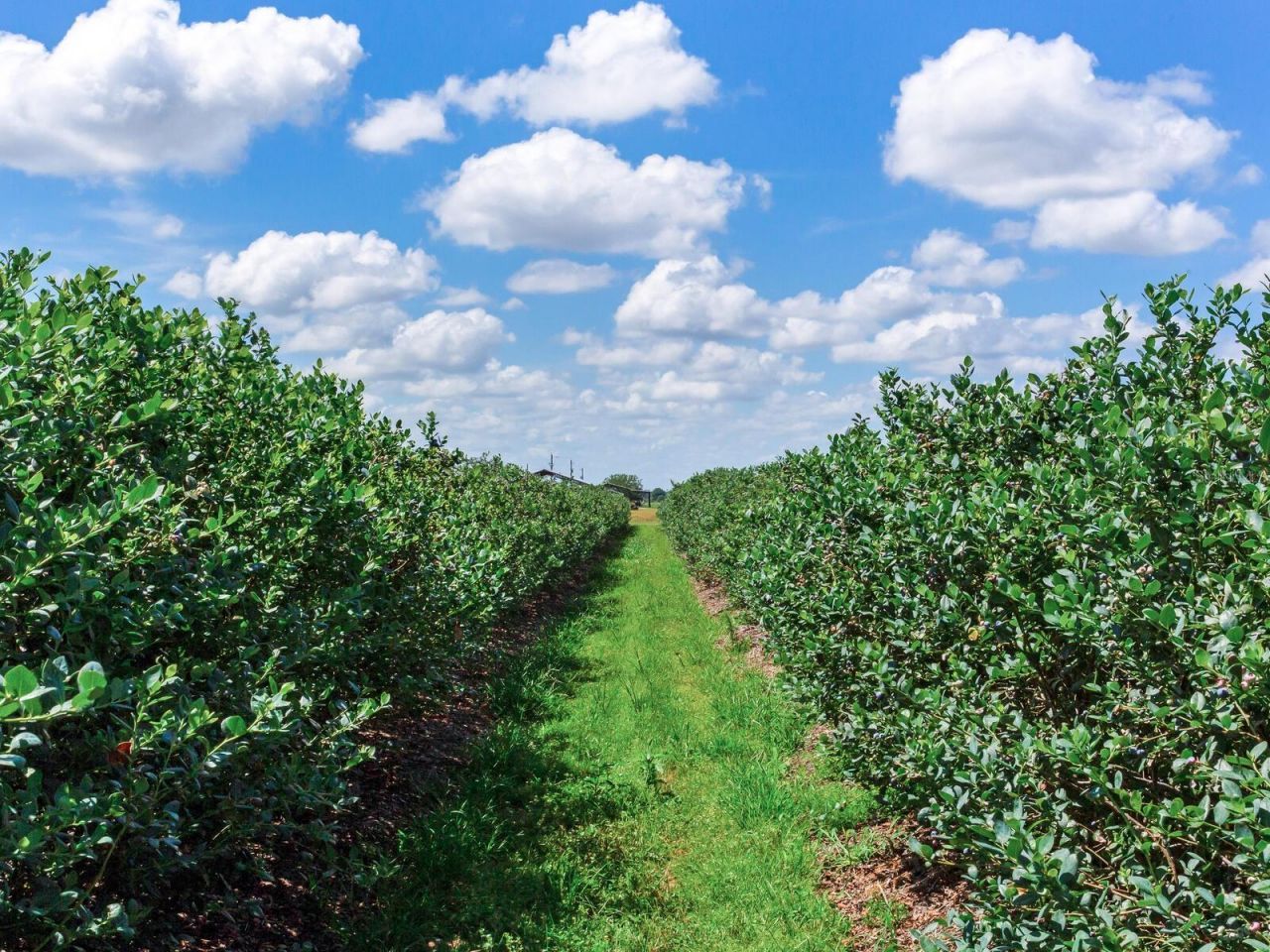 3674 E State Road 64 , Zolfo Springs, FL 33890 Photo