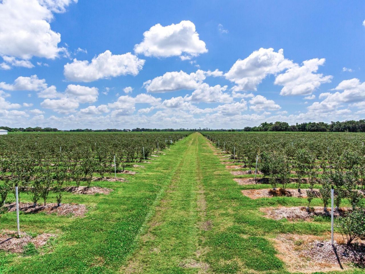 3674 E State Road 64, Zolfo Springs, FL 33890 Photo