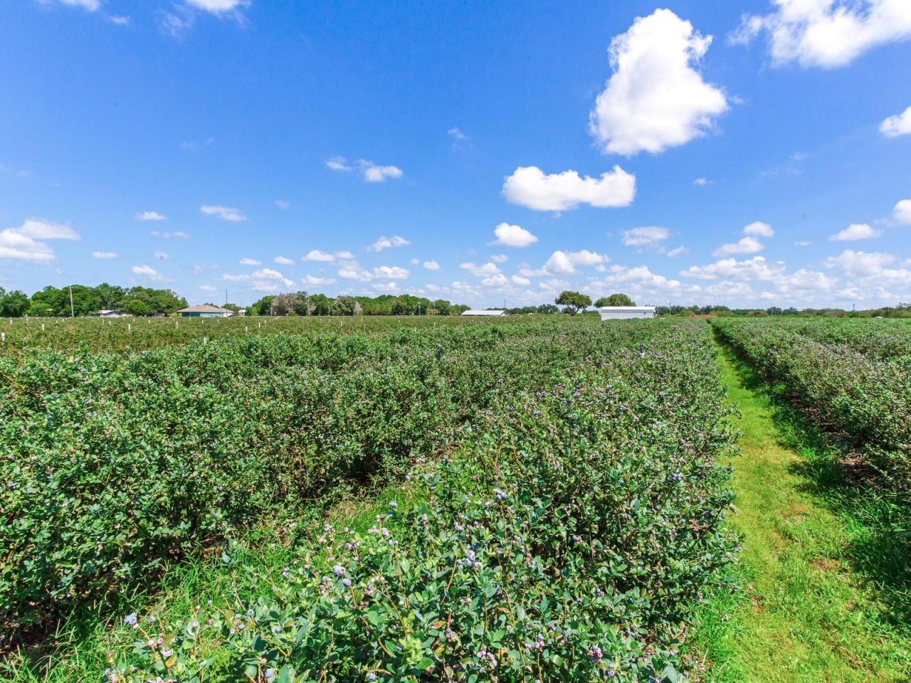 3674 E State Road 64 , Zolfo Springs, FL 33890 Photo