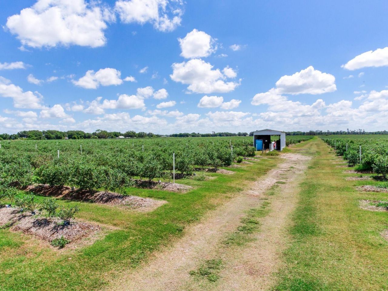 3674 E State Road 64 , Zolfo Springs, FL 33890 Photo