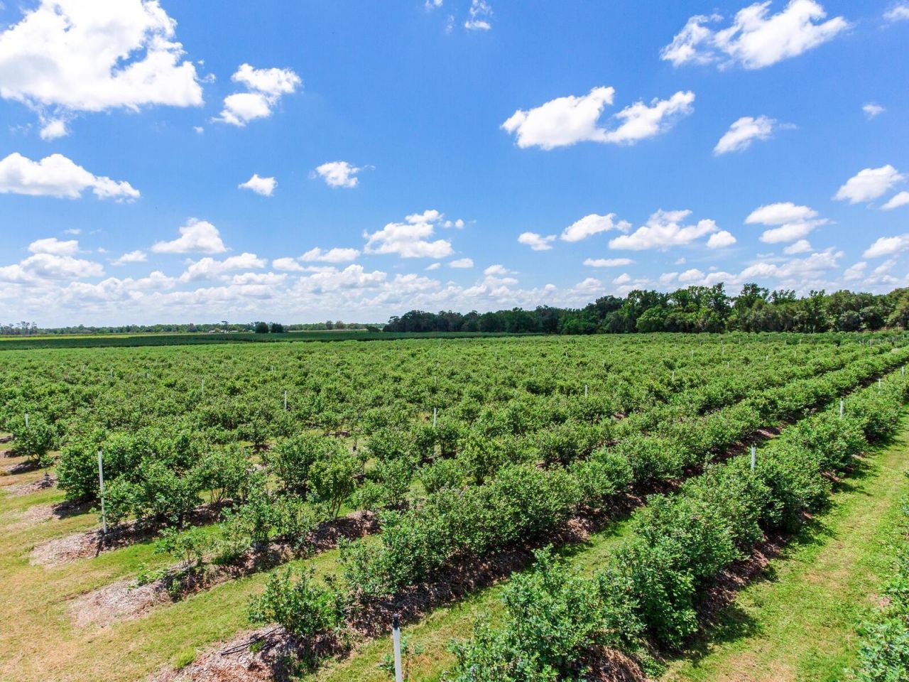 3674 E State Road 64, Zolfo Springs, FL 33890 Photo
