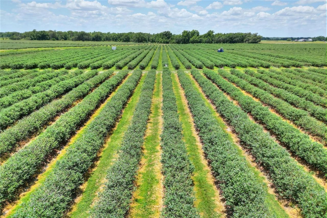 3674 E State Road 64 , Zolfo Springs, FL 33890 Photo