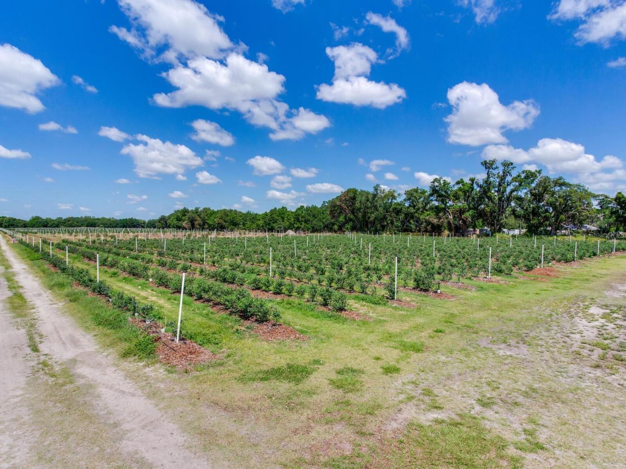 3674 E State Road 64, Zolfo Springs, FL 33890 Photo