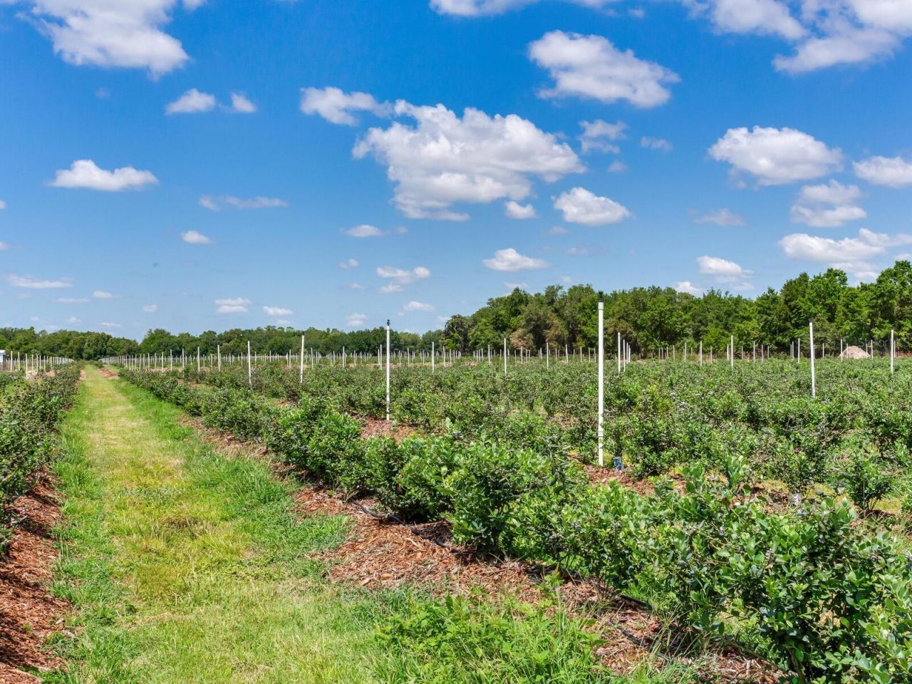 3674 E State Road 64, Zolfo Springs, FL 33890 Photo