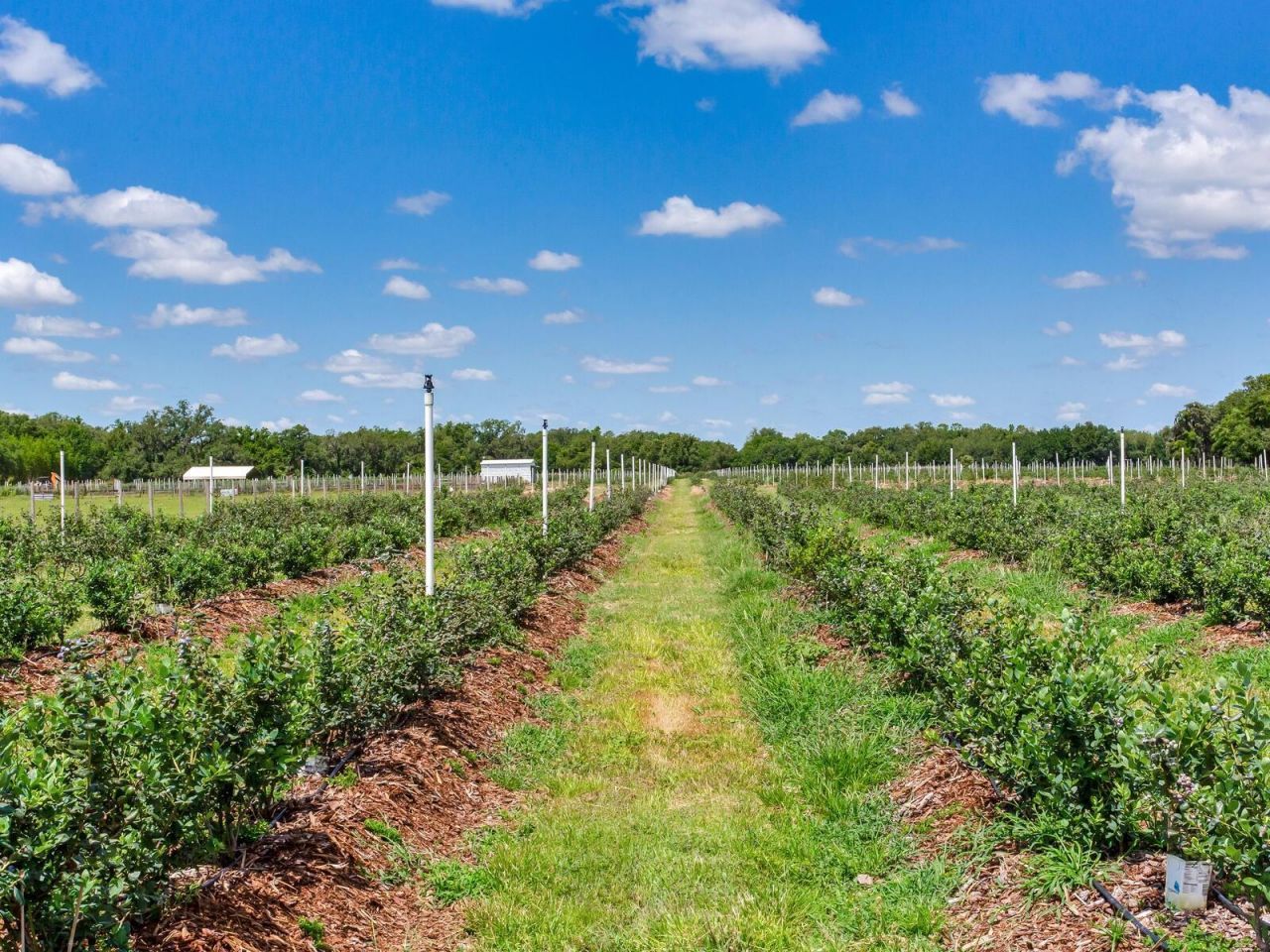 3674 E State Road 64, Zolfo Springs, FL 33890 Photo