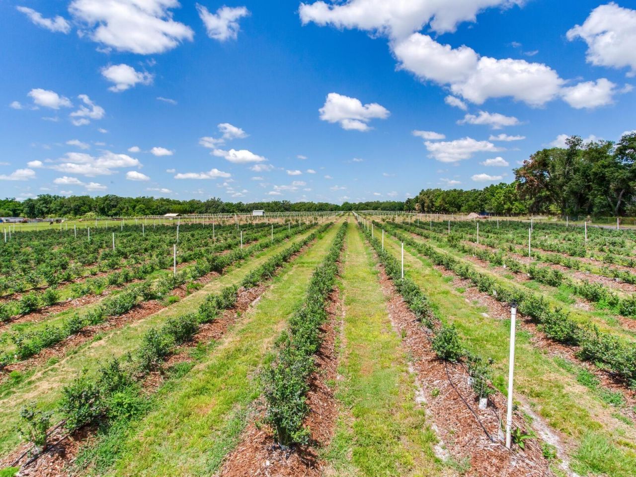 3674 E State Road 64 , Zolfo Springs, FL 33890 Photo