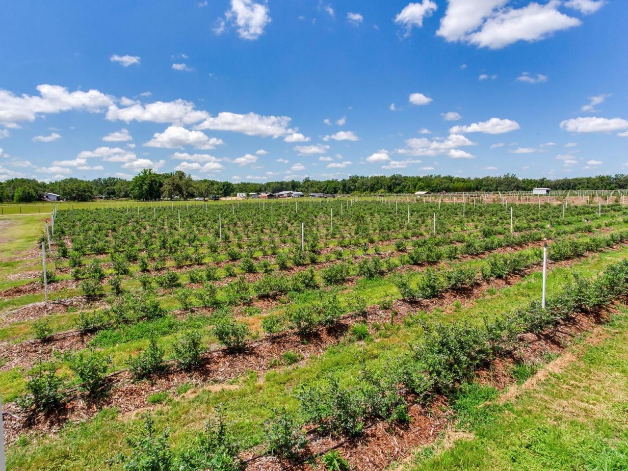 3674 E State Road 64 , Zolfo Springs, FL 33890 Photo