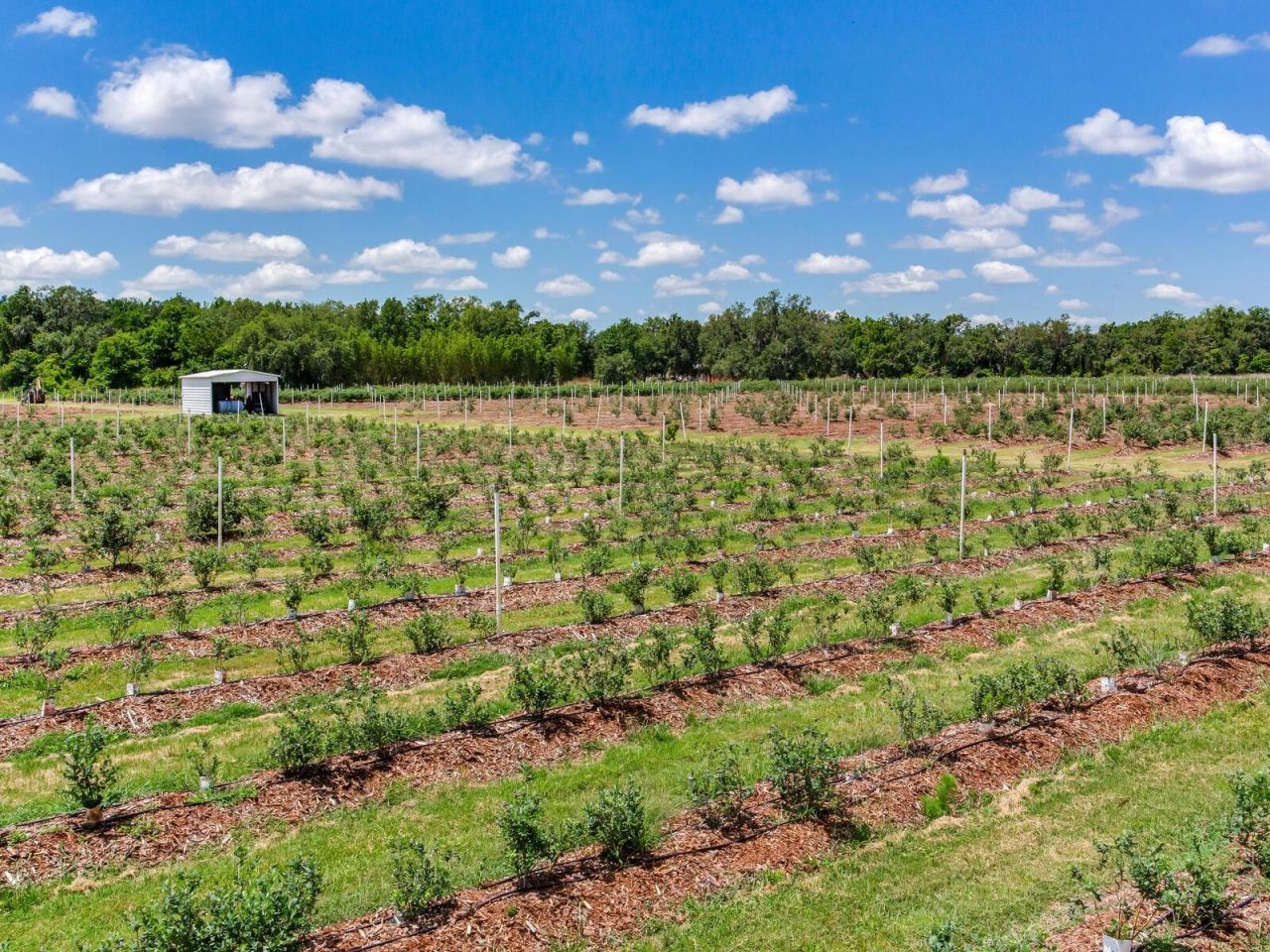 3674 E State Road 64 , Zolfo Springs, FL 33890 Photo