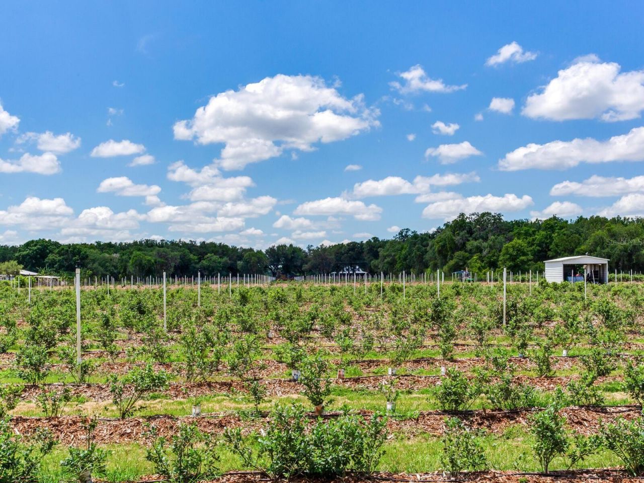 3674 E State Road 64 , Zolfo Springs, FL 33890 Photo