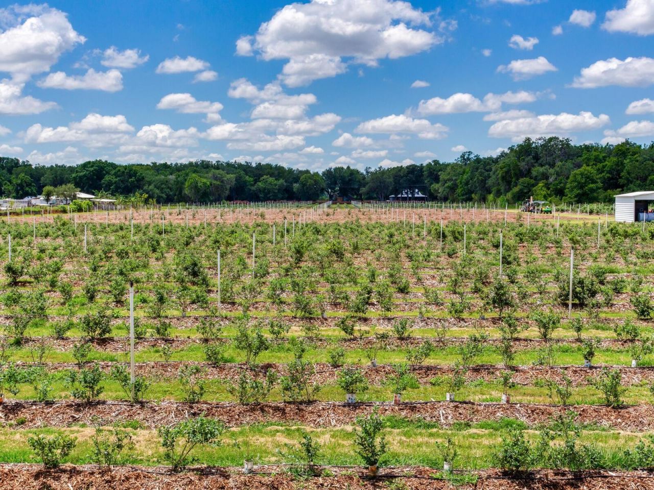 3674 E State Road 64 , Zolfo Springs, FL 33890 Photo