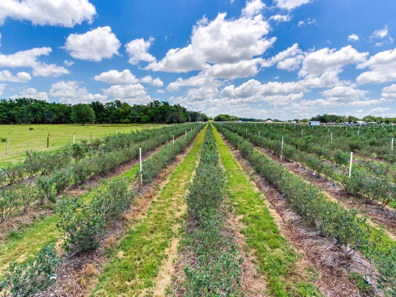 3674 E State Road 64 , Zolfo Springs, FL 33890 Photo