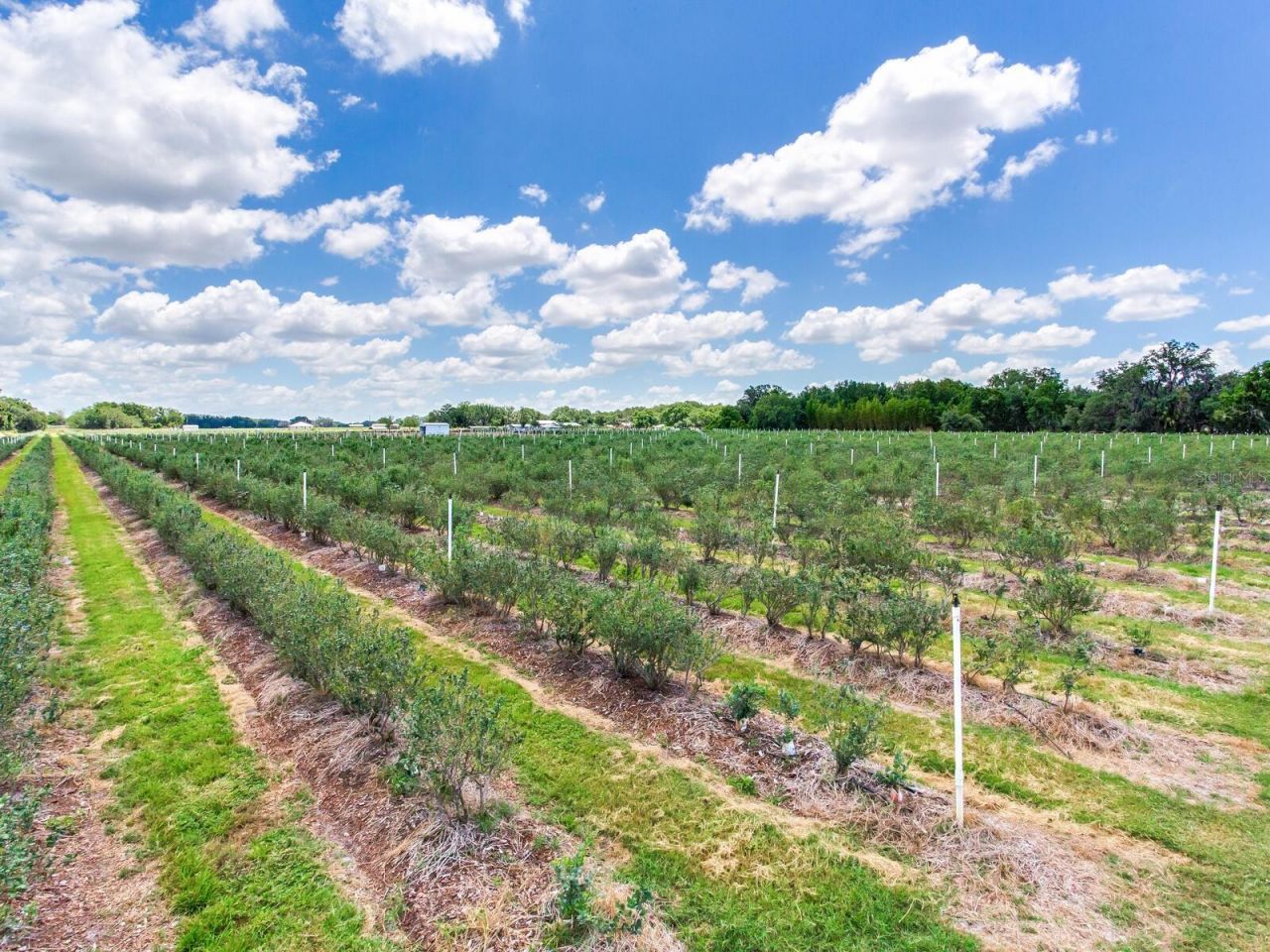 3674 E State Road 64, Zolfo Springs, FL 33890 Photo