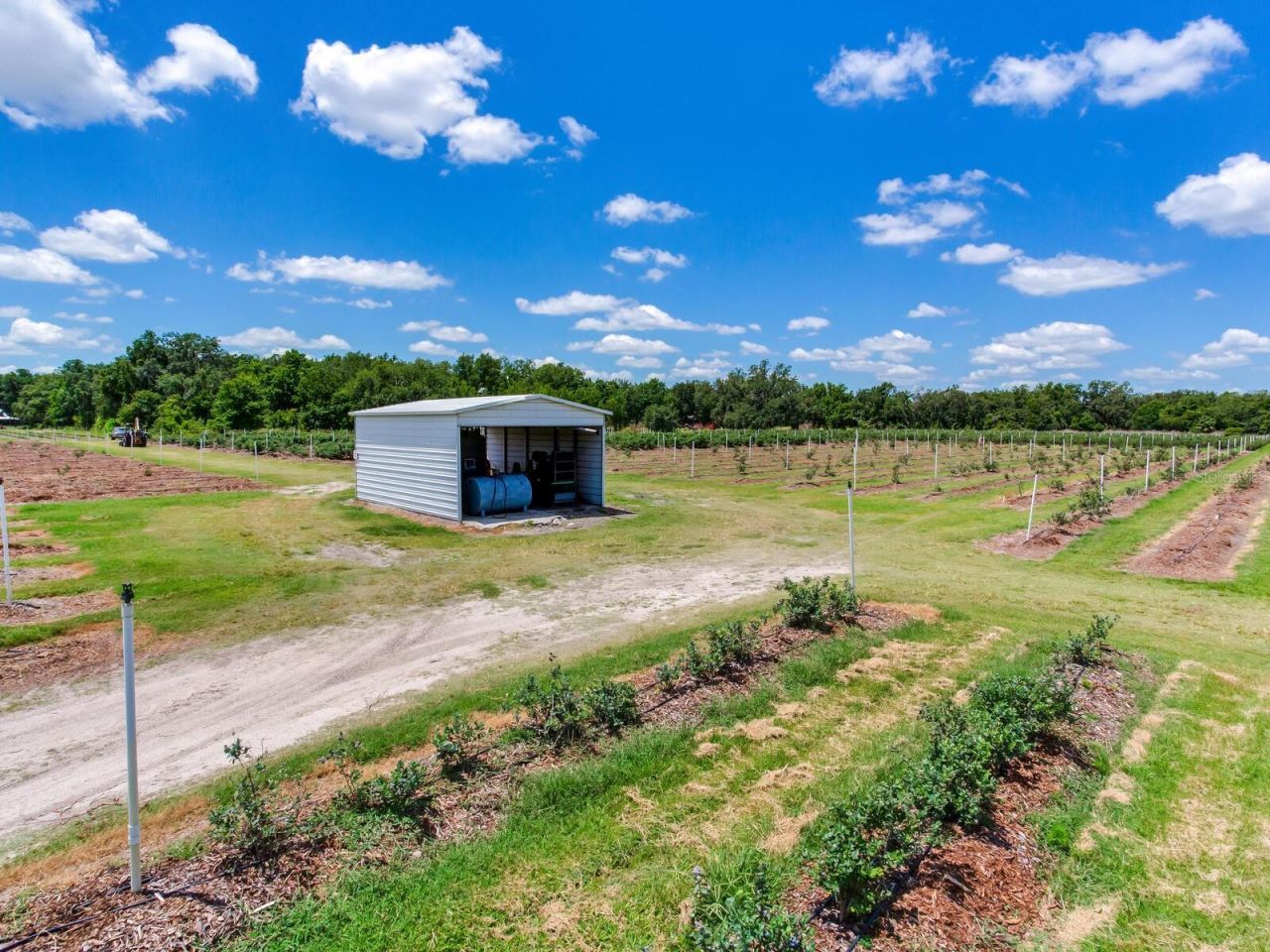 3674 E State Road 64 , Zolfo Springs, FL 33890 Photo