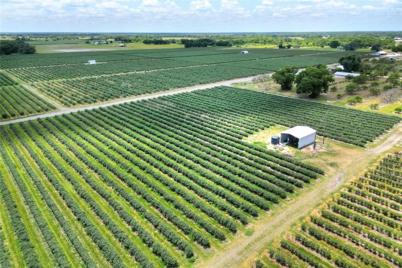 3674 E State Road 64 , Zolfo Springs, FL 33890 Photo