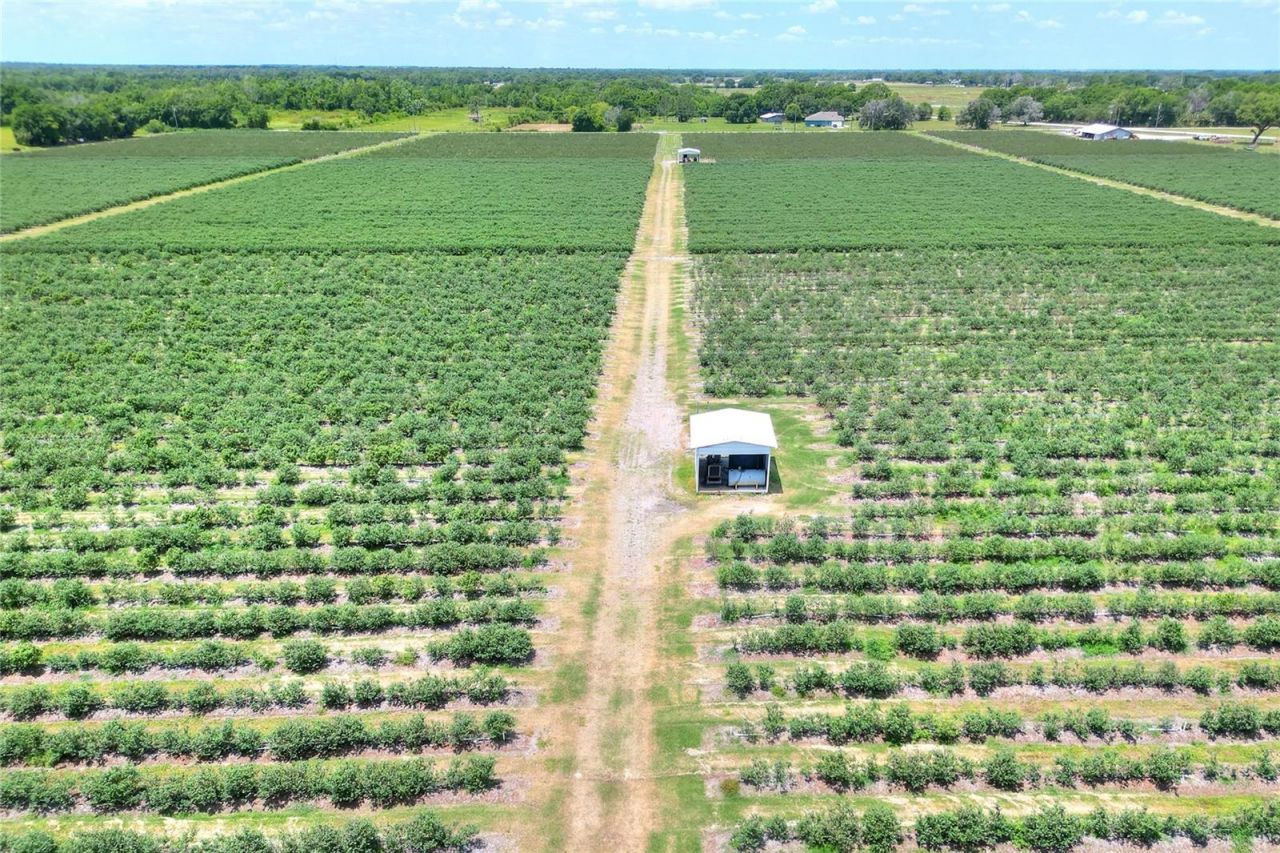 3674 E State Road 64, Zolfo Springs, FL 33890 Photo